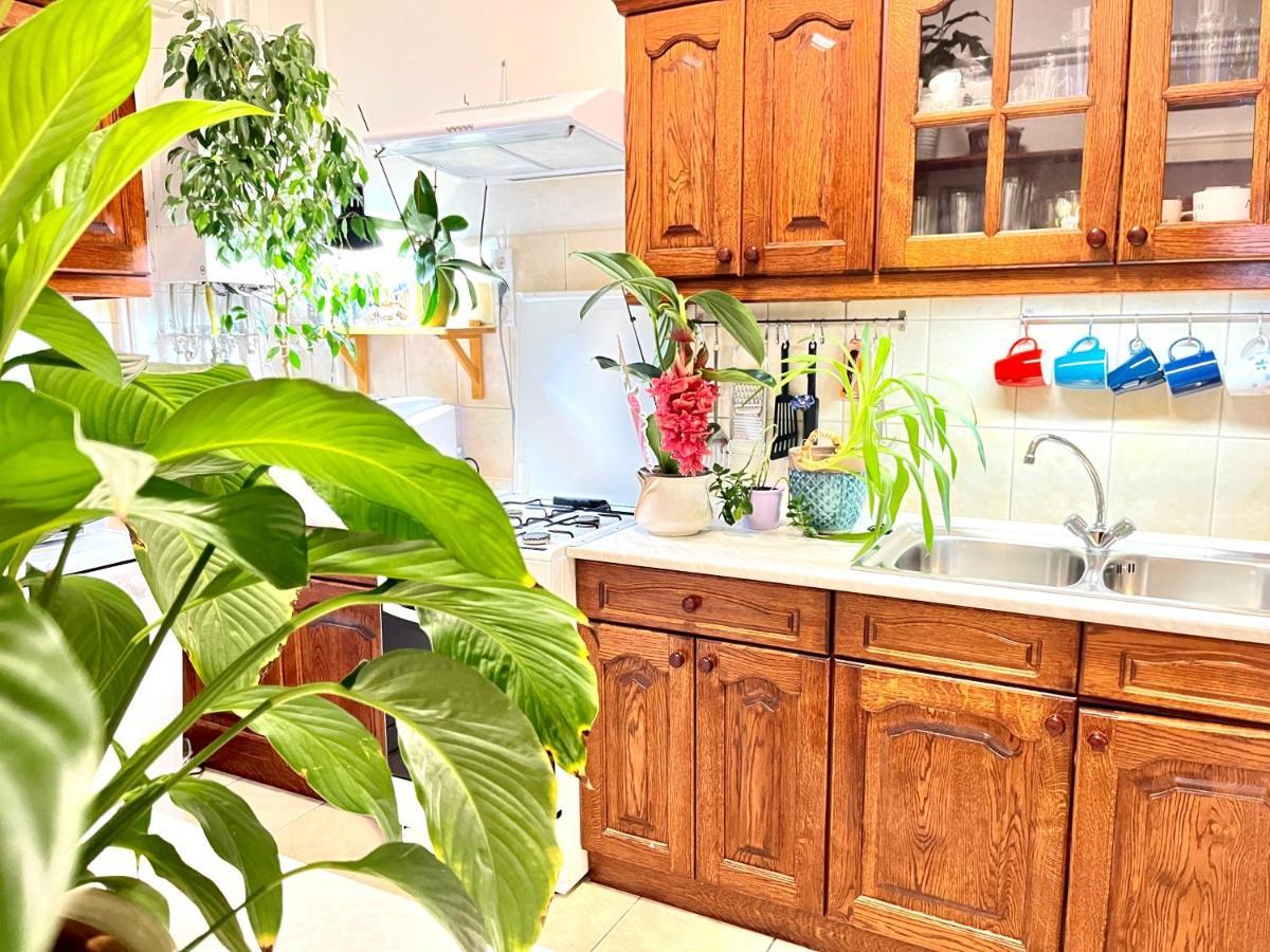 Margaret Bridge Cosy Flat Apartment Budapest Exterior photo